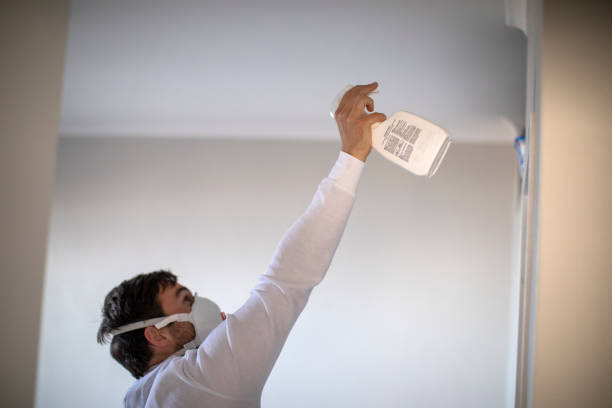 Best Local Mold Removal Service  in Port Byron, NY