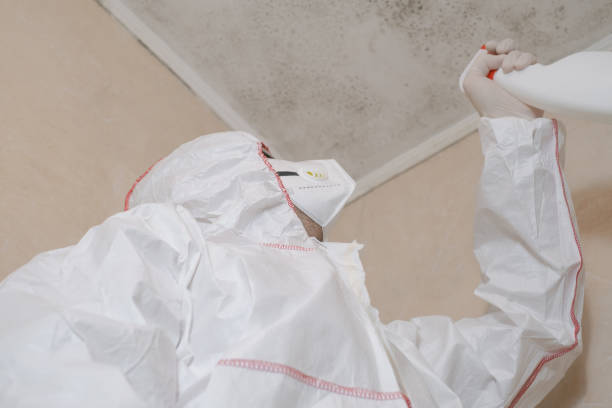 Best Residential Mold Removal  in Port Byron, NY